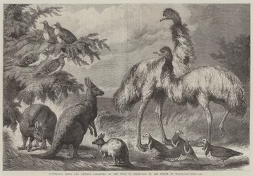 Australische Vogels en Dieren gepresenteerd door de Hertog van Edinburgh aan de Prins van Wales